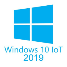 Образ обновления операционной системы Windows 10 IoT Entry 2019 LTSC MultiLang ESD OEI*